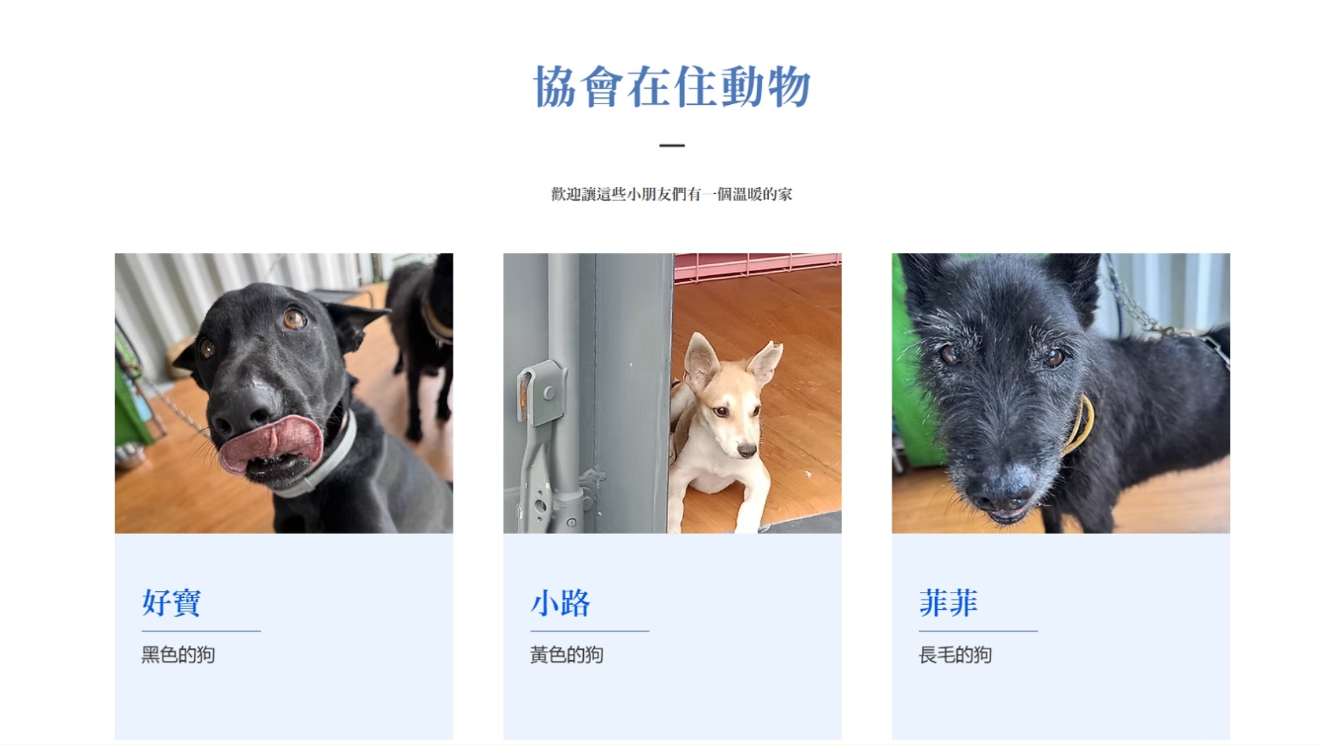 圖片說明